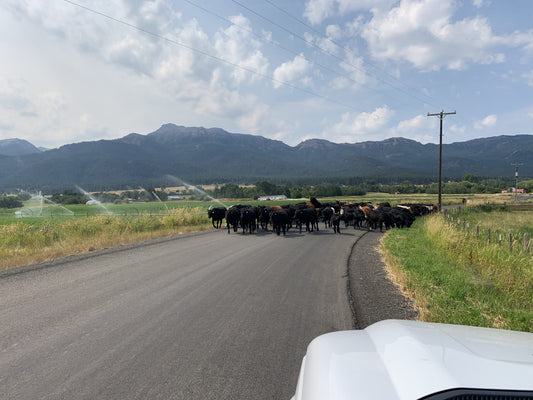 Traffic in Wallowa County