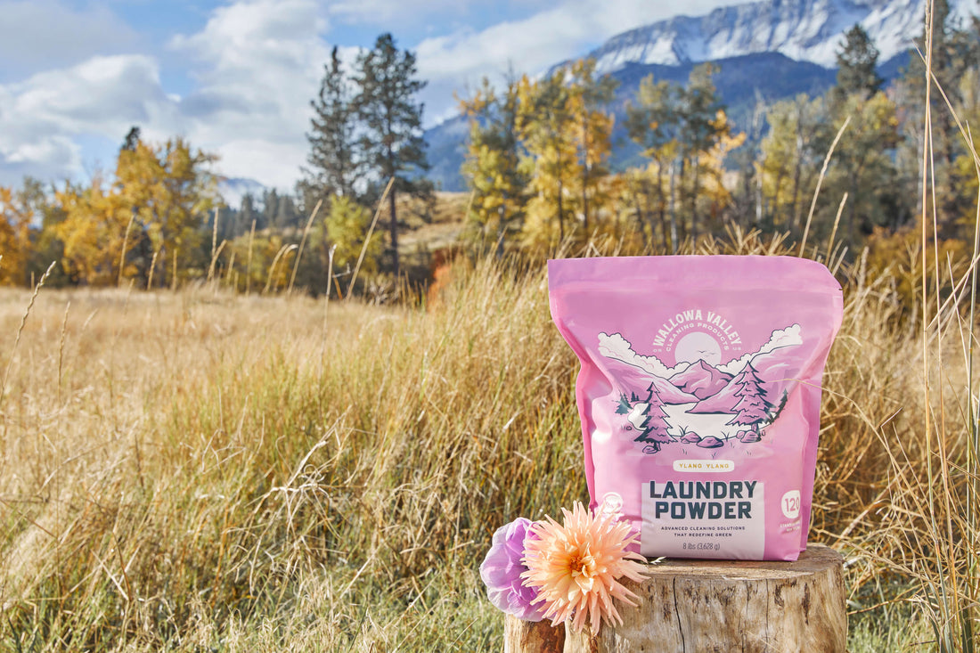Selecting the Best Laundry Product for You