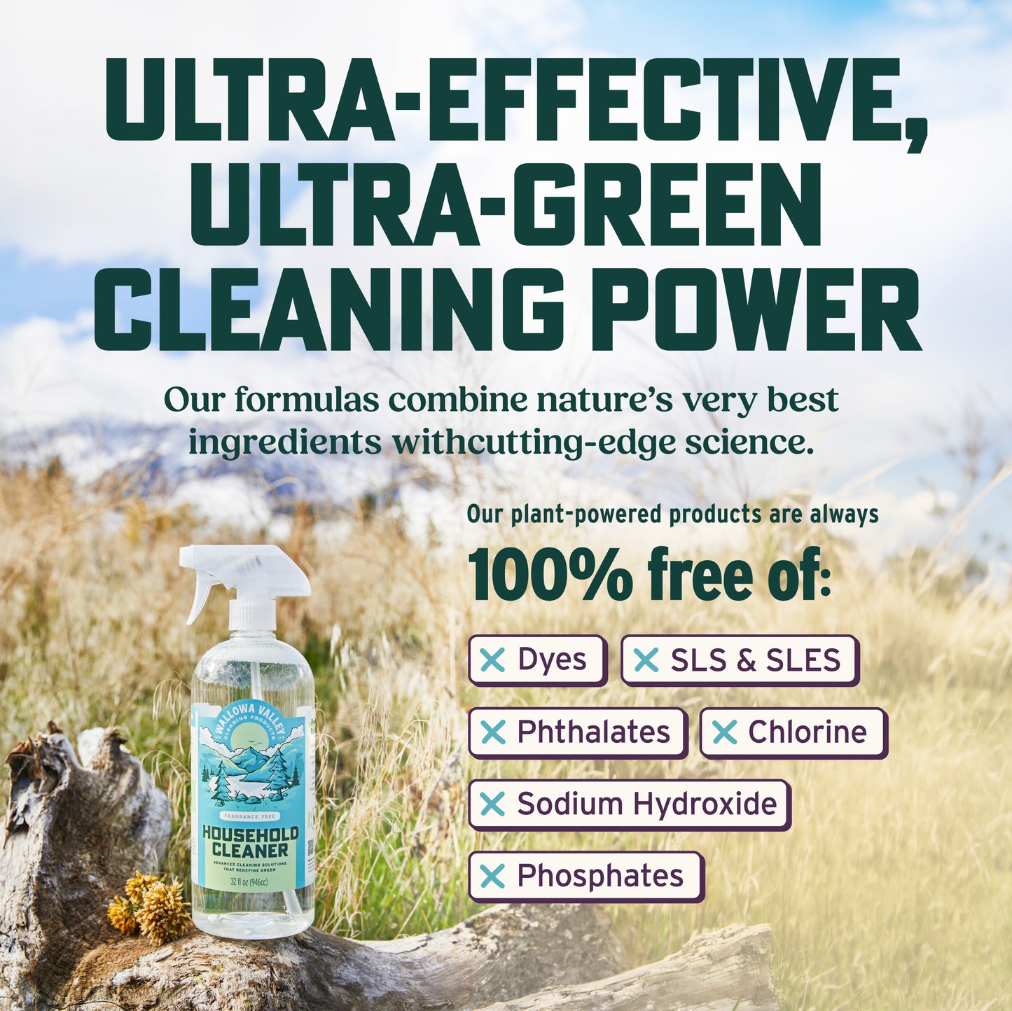 Household Cleaner