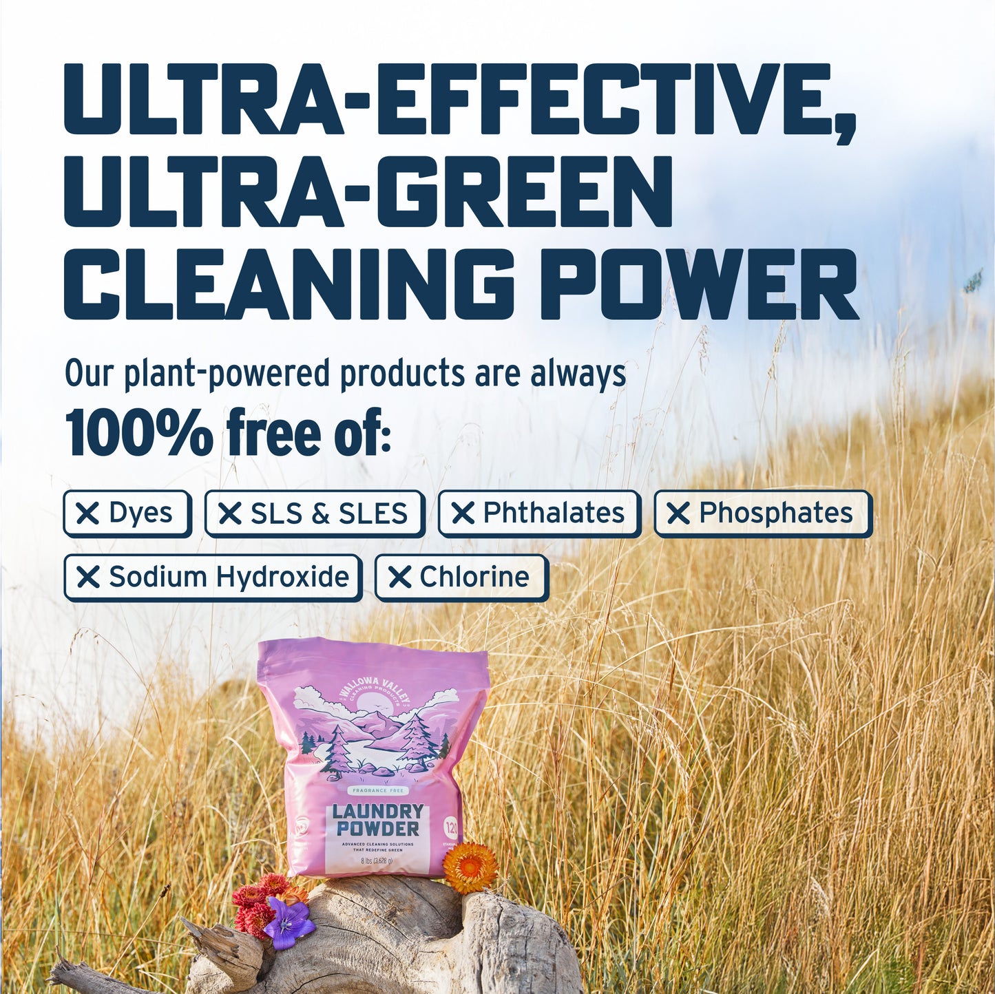 Laundry Powder