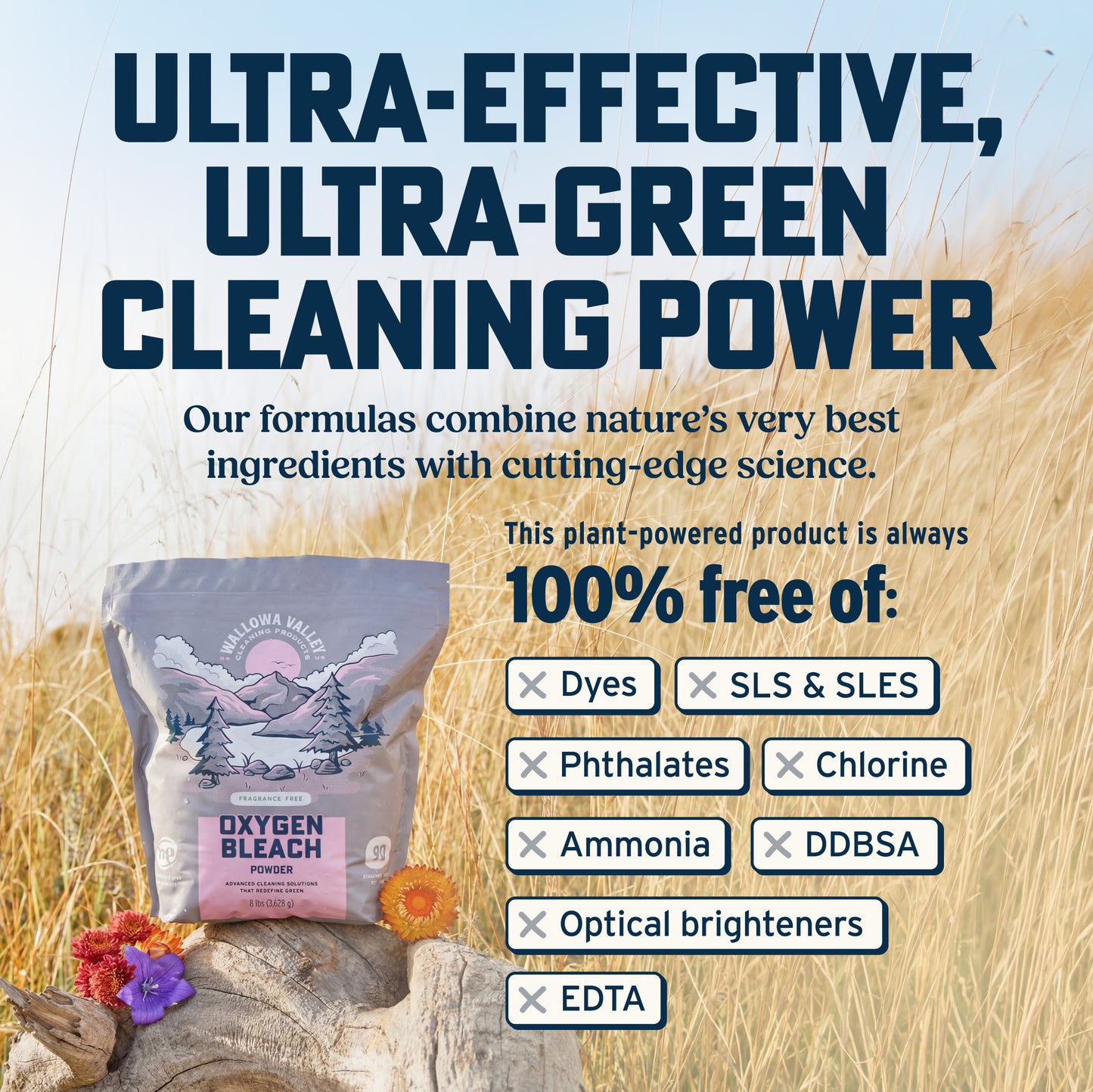 Oxygen Bleach Powder